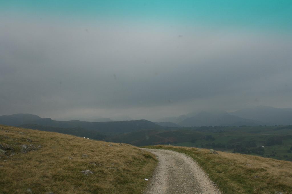 465.JPG