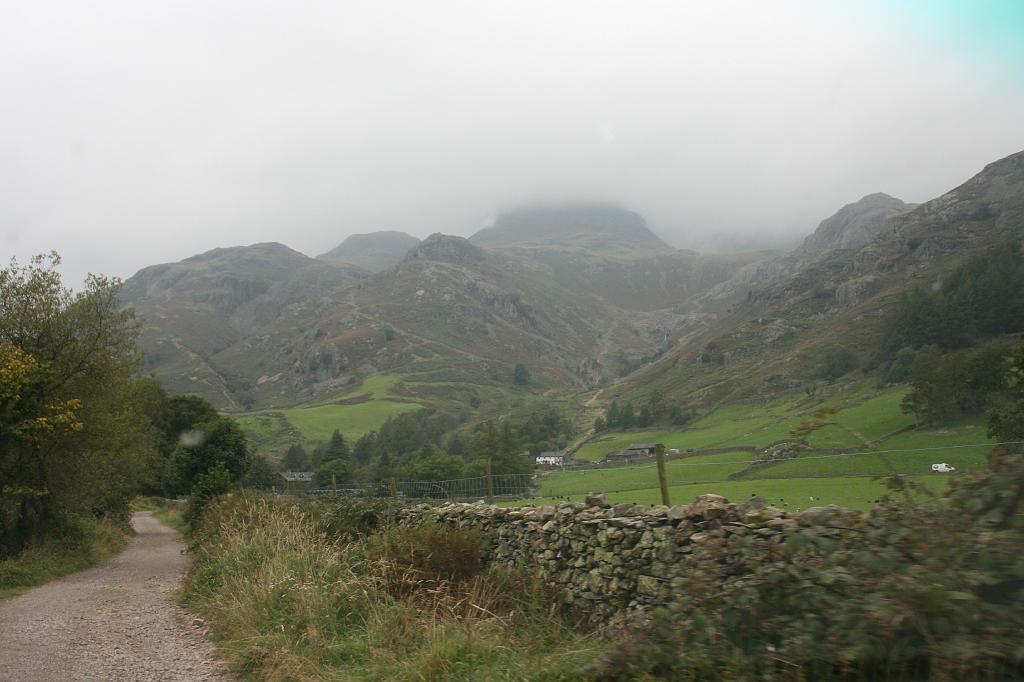 477.JPG